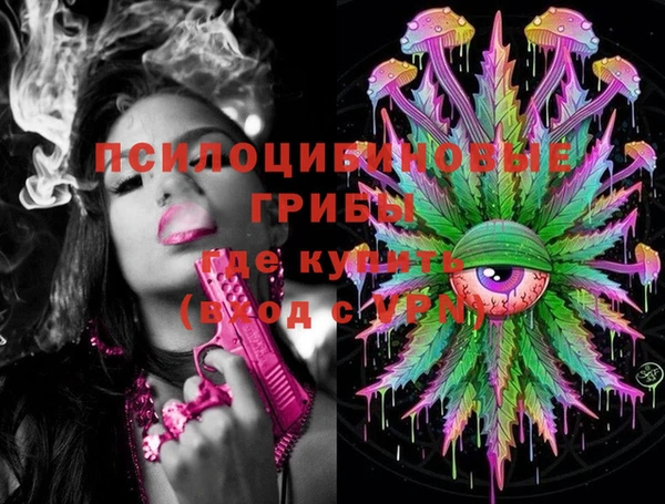 сатива Дмитров