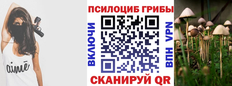 Купить закладки  Николаевск-на-Амуре  Галлюциногенные грибы Magic Shrooms 
